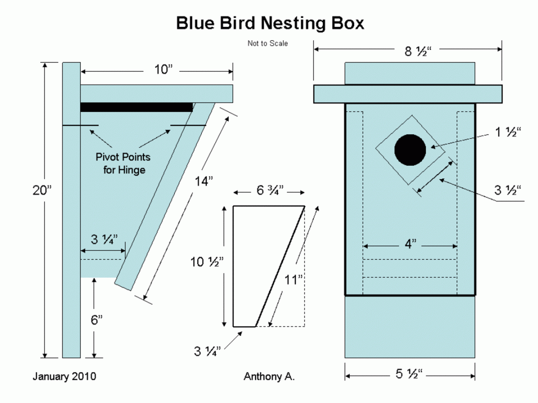 Bluebird Birdhouse Plans: How to Build a Peterson Slant-Front