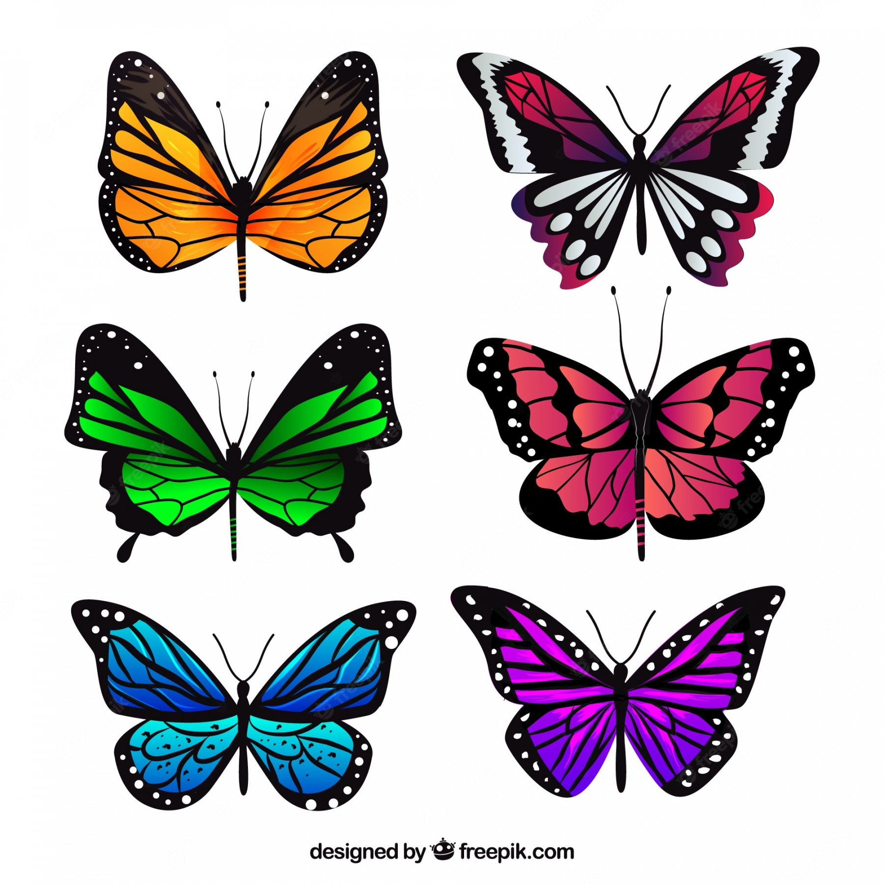 Colorful Butterfly Images - Free Download on Freepik