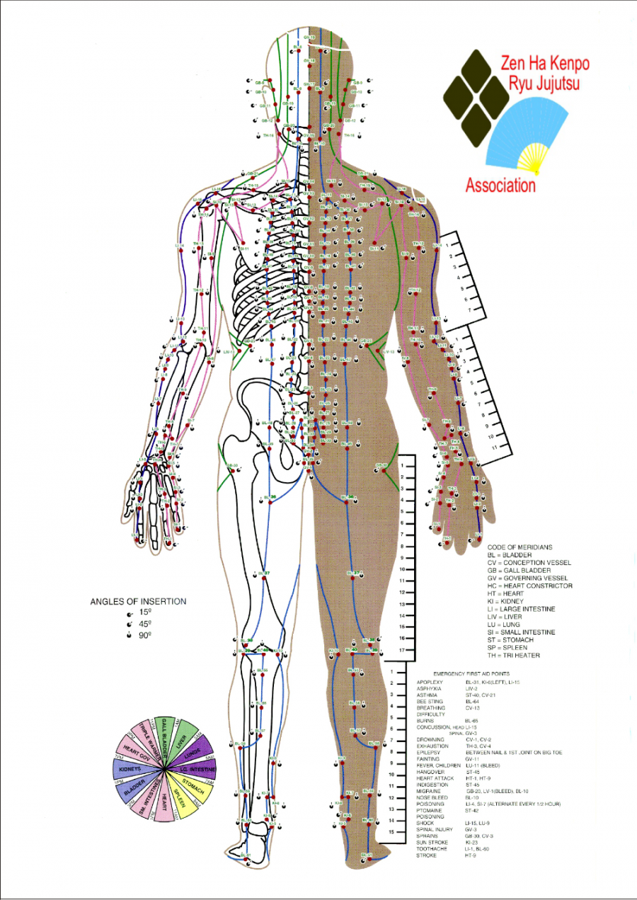 Free Pressure Point Chart - PDF  KB   Page(s)  Page