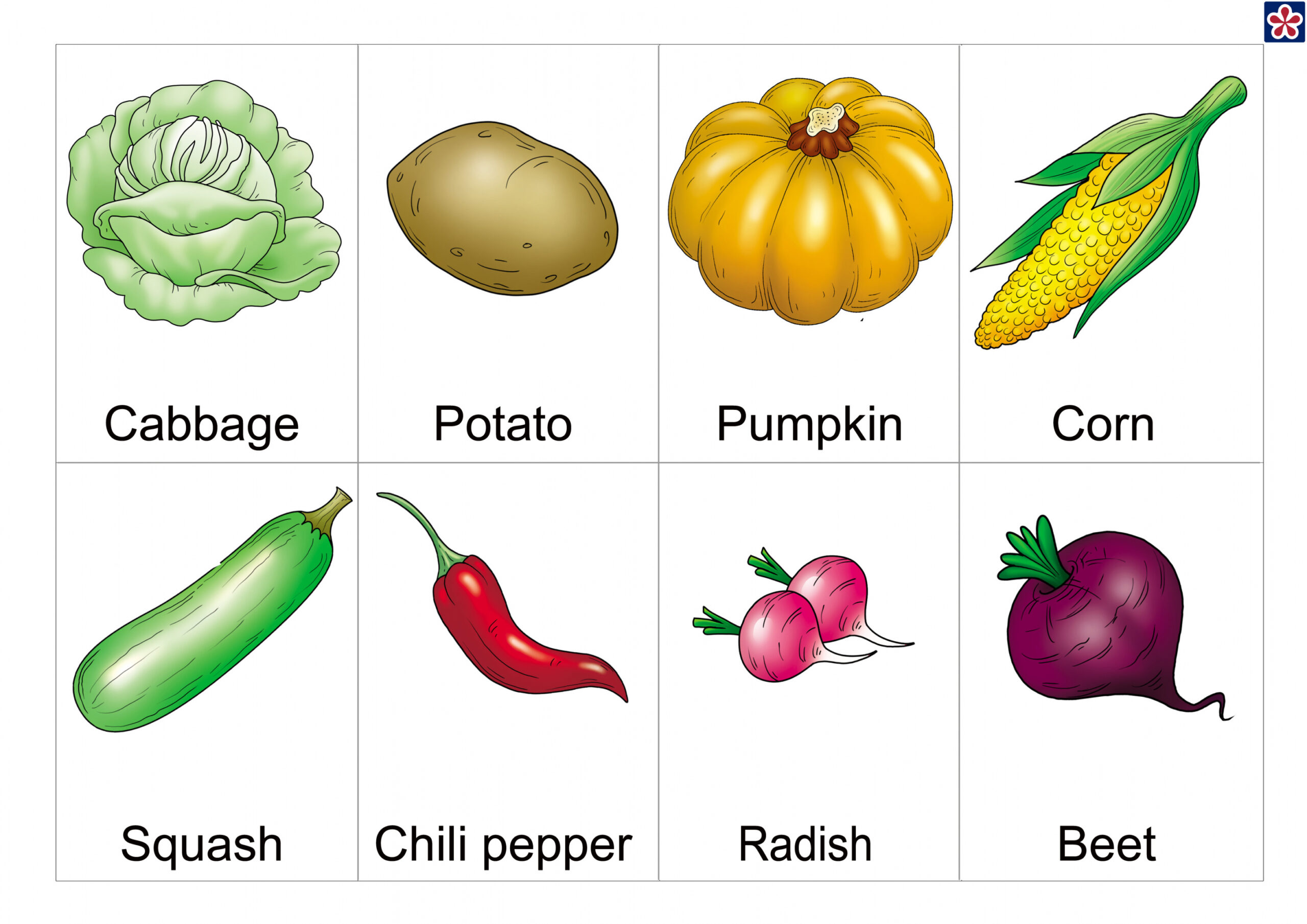 Free Printable Vegetables Flashcards with Names for Preschoolers