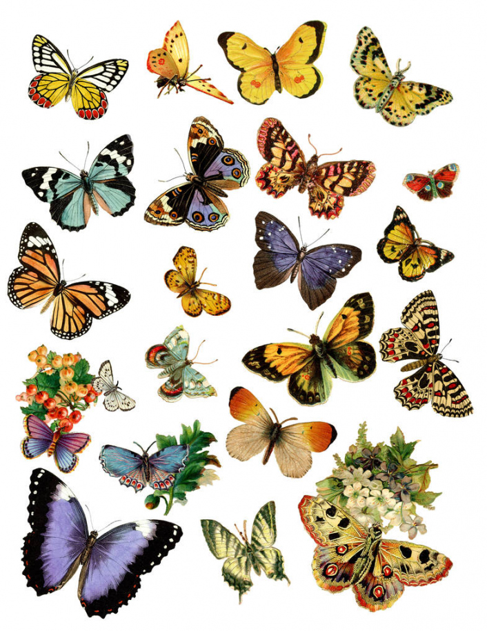 Free Vintage Butterfly Printable by Lorene-DD on DeviantArt