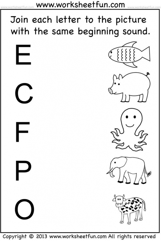 Preschool Activity Worksheet  Free preschool worksheets, Free