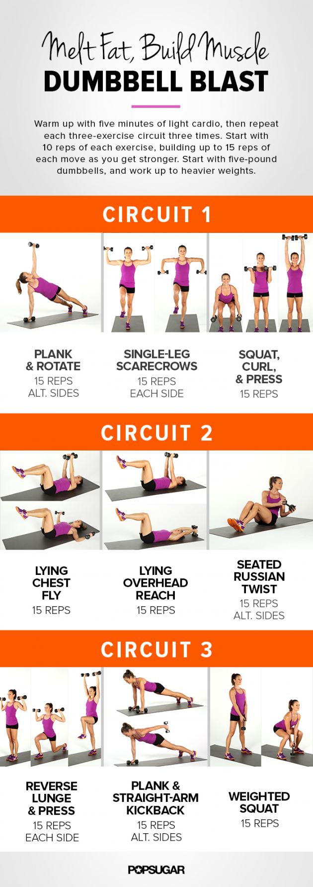 Printable Workout: Full-body, Dumbbell Circuit  POPSUGAR Fitness