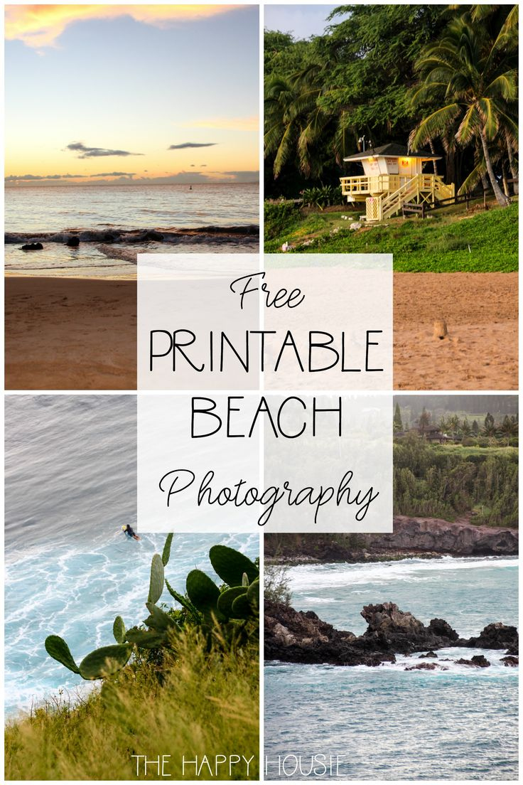 Beach Theme Gallery Wall With Free Printable Beach Photography intended for Free Coastal Printables