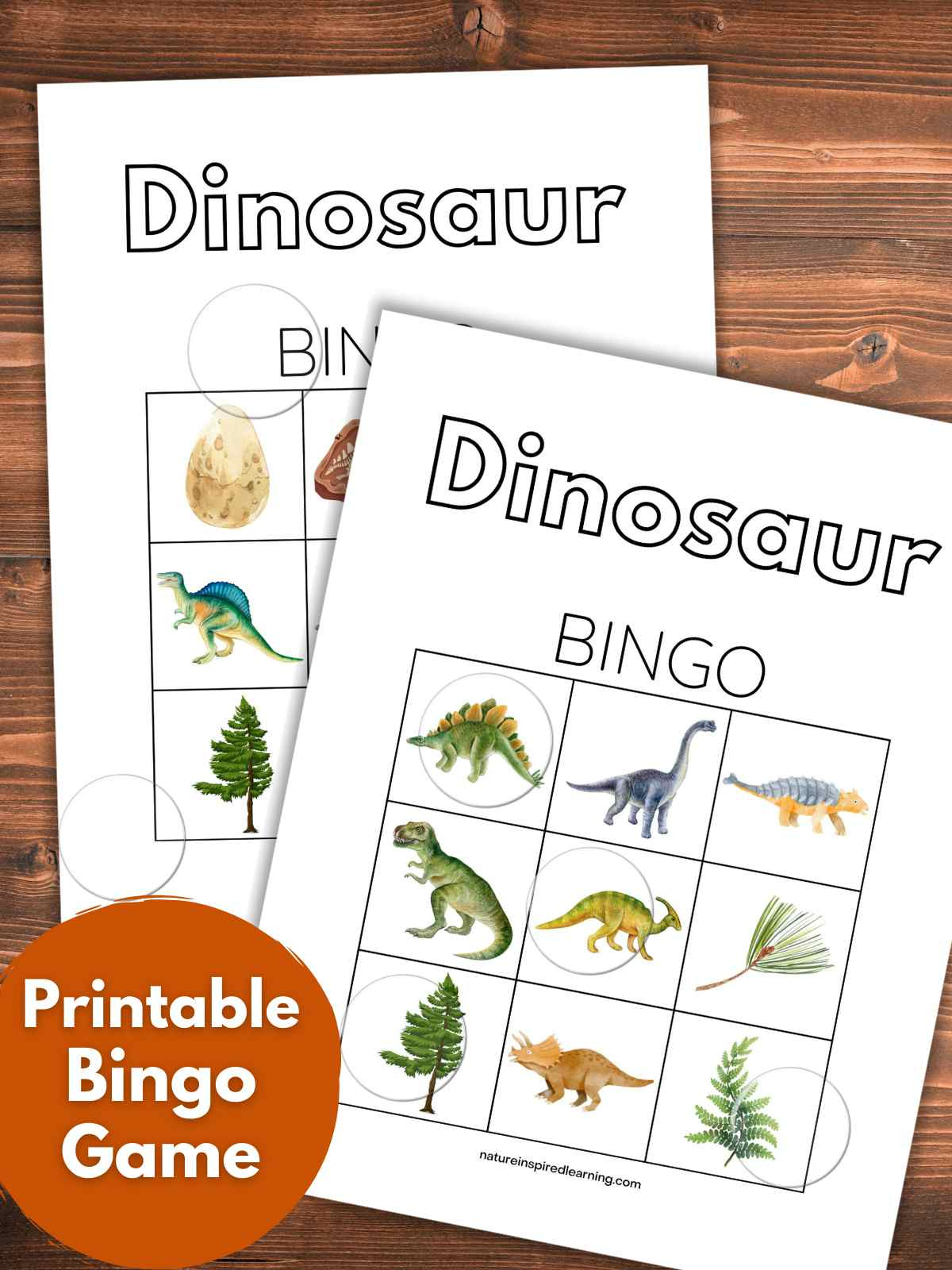 Dinosaur Bingo Game - Nature Inspired Learning in Dinosaur Bingo Printable Free