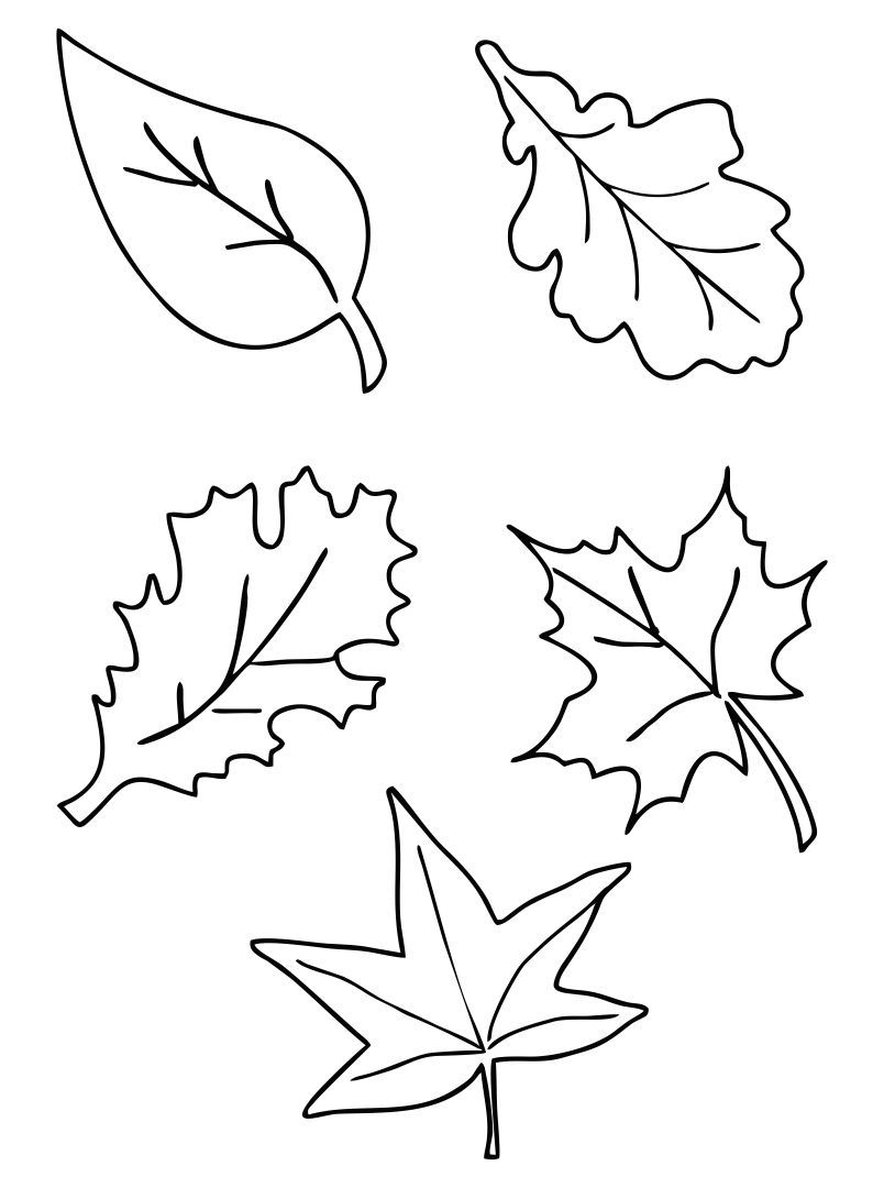 Fall Leaves Templates - 10 Free Pdf Printables | Printablee in Fall Leaves Pictures Free Printable