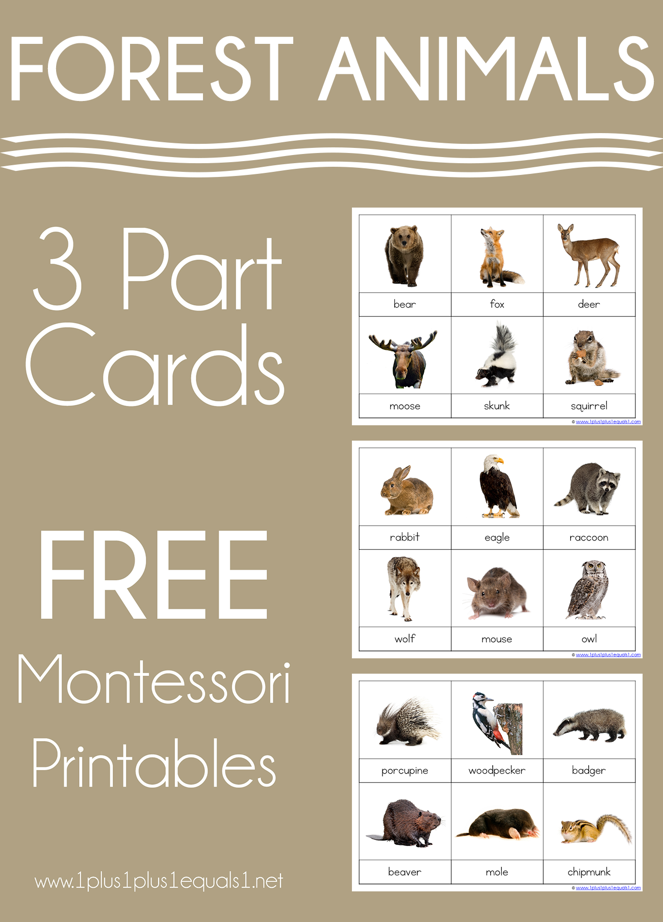 Forest Animals Montessori Printables – Free 3 Part Cards - 1+1+1=1 inside Free Montessori Printables