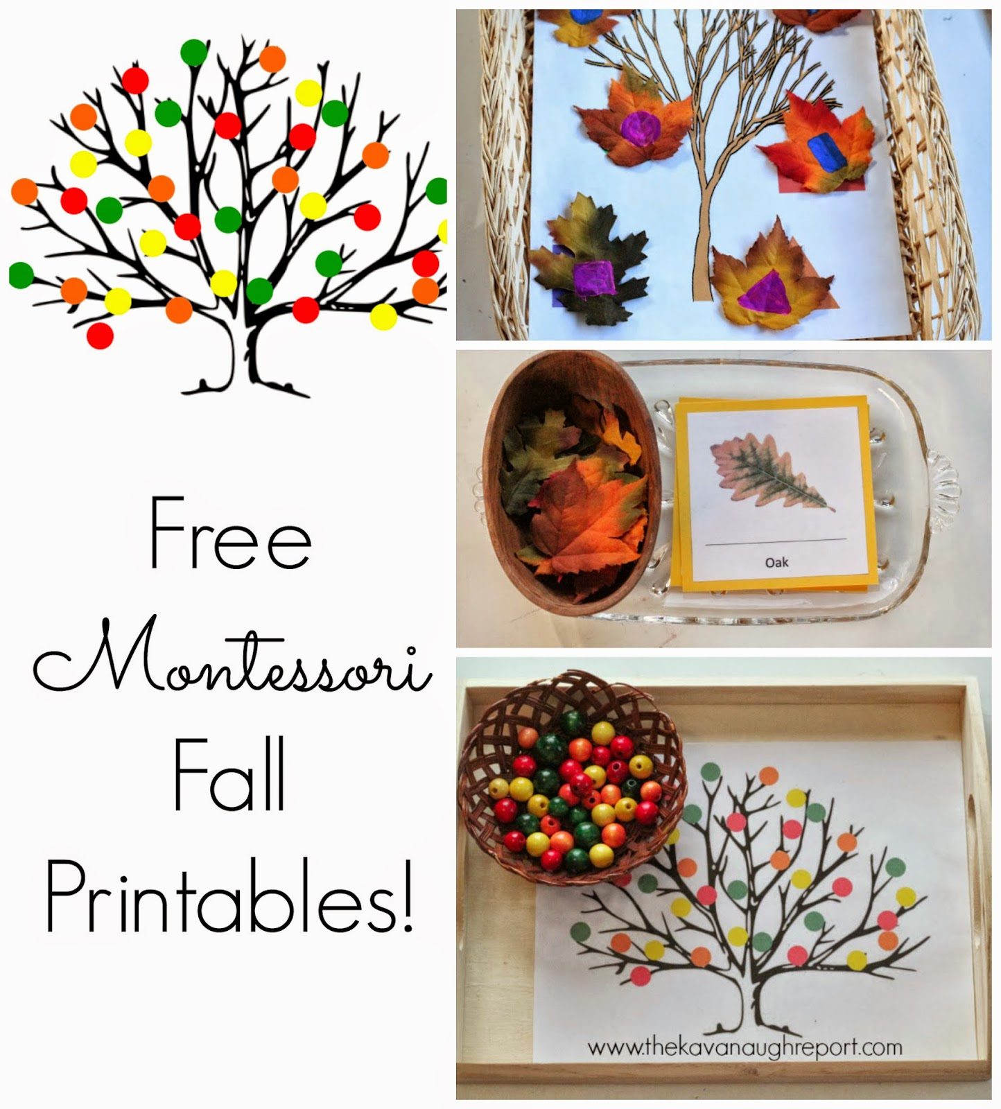 Free Montessori Inspired Fall Printables in Free Montessori Printables