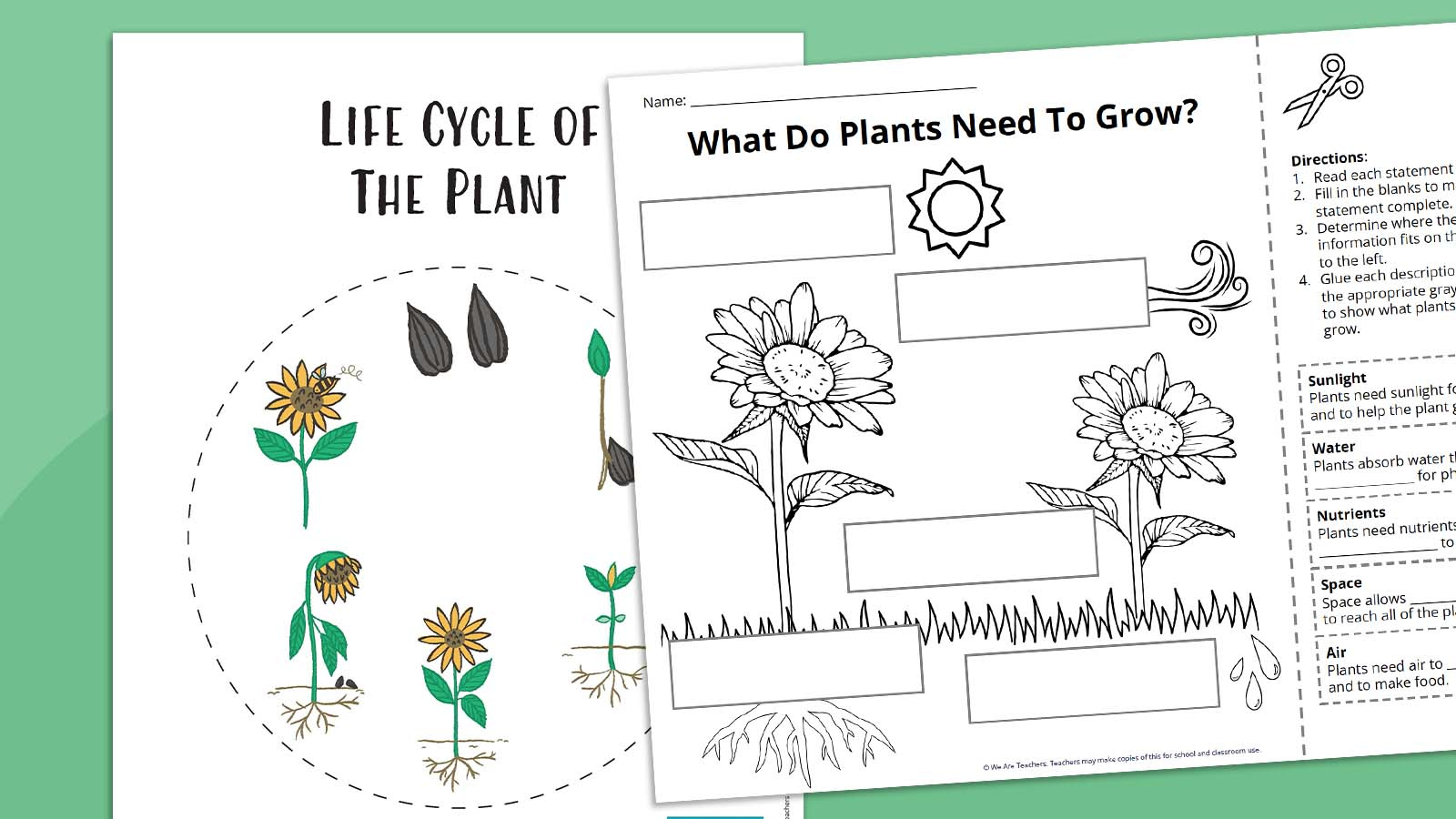 Plant Life Cycle Worksheet Bundle (Free Printables) inside Free Plant Life Cycle Worksheet Printables