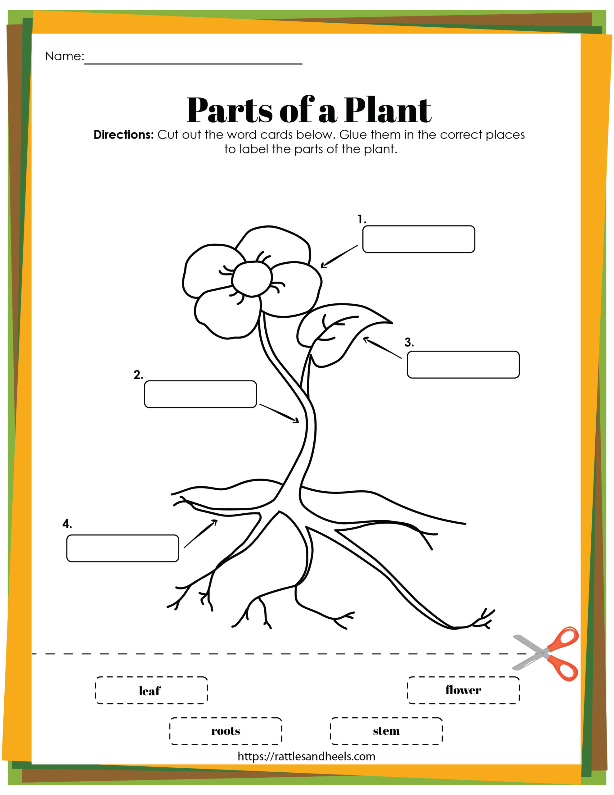 Plant Life Cycle Worksheets Free Printables For Kids - Adanna Dill regarding Free Plant Life Cycle Worksheet Printables