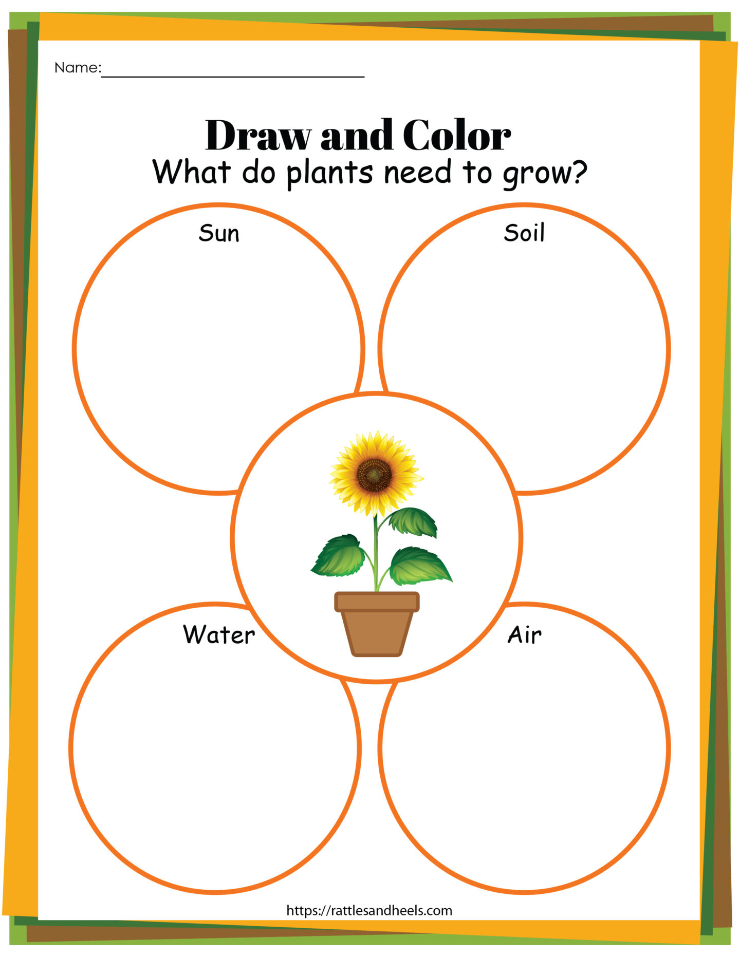 Plant Life Cycle Worksheets Free Printables For Kids - Adanna Dill throughout Free Plant Life Cycle Worksheet Printables