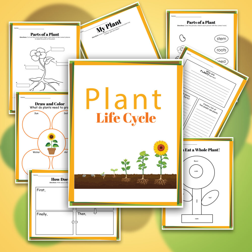 Plant Life Cycle Worksheets Free Printables For Kids - Adanna Dill within Free Plant Life Cycle Worksheet Printables