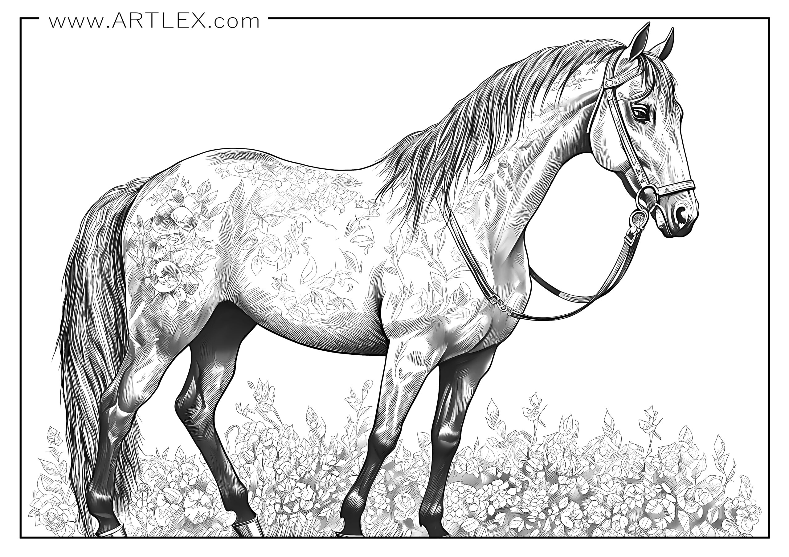 12 Best Horses Coloring Pages (Free + Printable) - Artlex for Free Printable Realistic Horse Coloring Pages