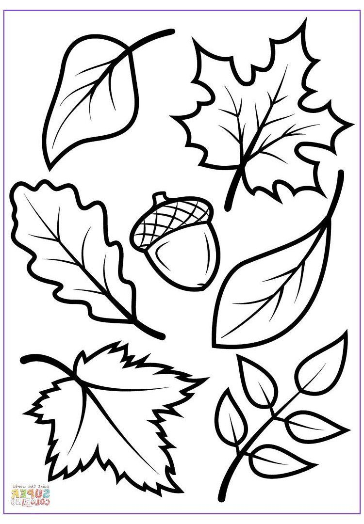 15 Elegant Fall Coloring Sheets Printable Photos #Printable #Fall intended for Free Printable Fall Leaves Coloring Pages