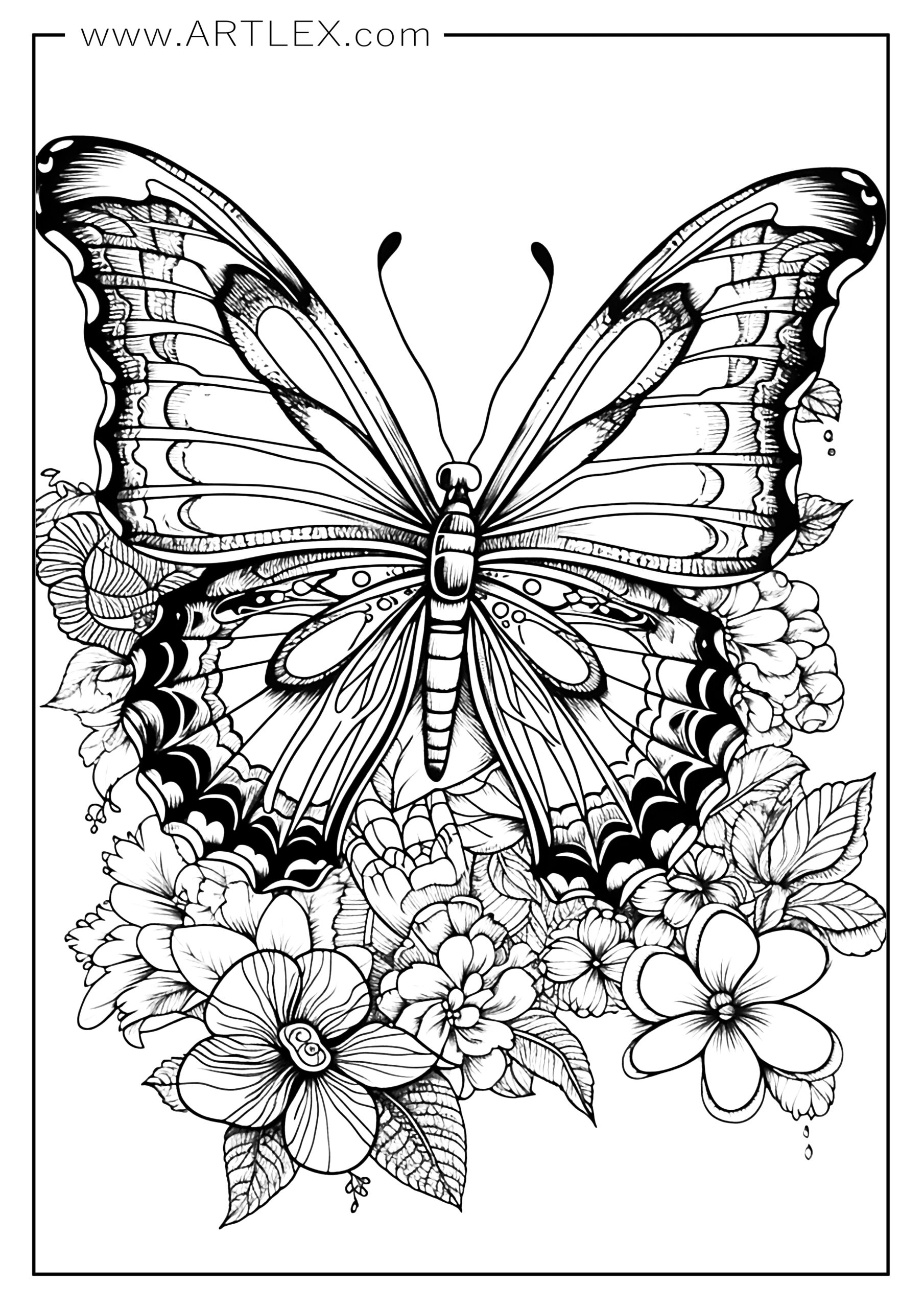 16 Best Butterfly Coloring Pages (Free + Printable) – Artlex inside Free Printable Good Touch Bad Touch Coloring Book