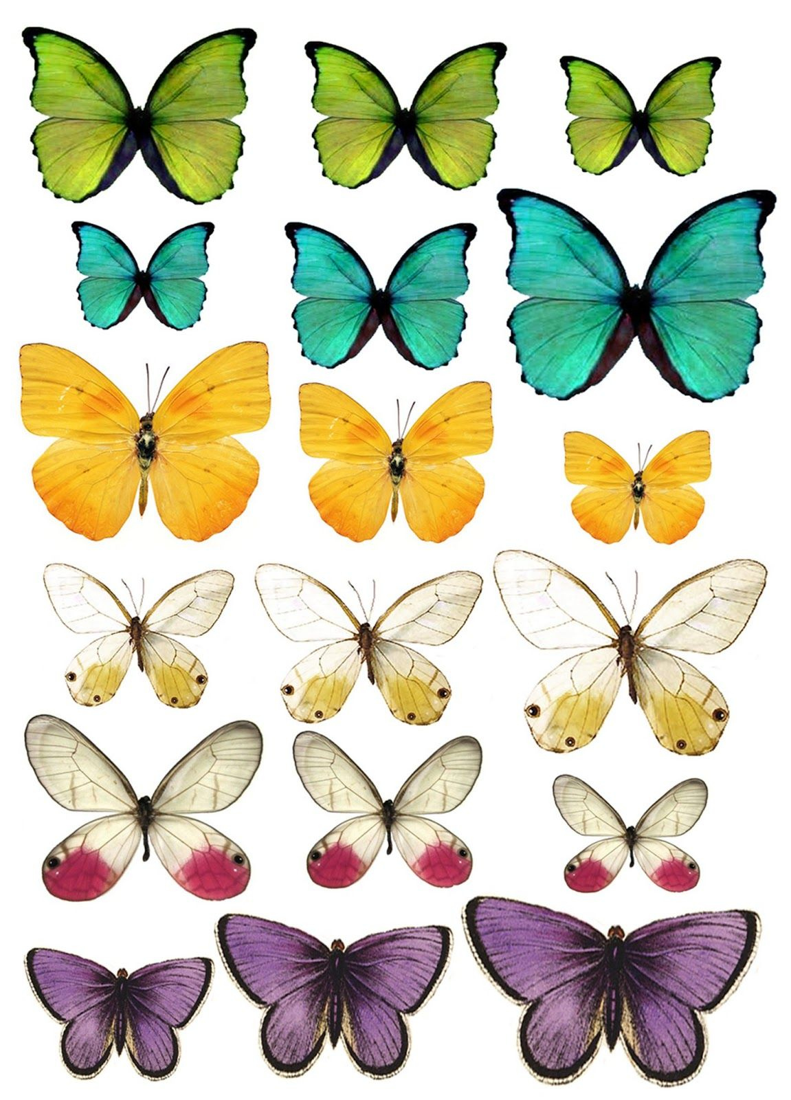 2,798 Cute Butterfly Printable Royalty-Free Photos And, 49% Off in Free Printable Images Of Butterflies