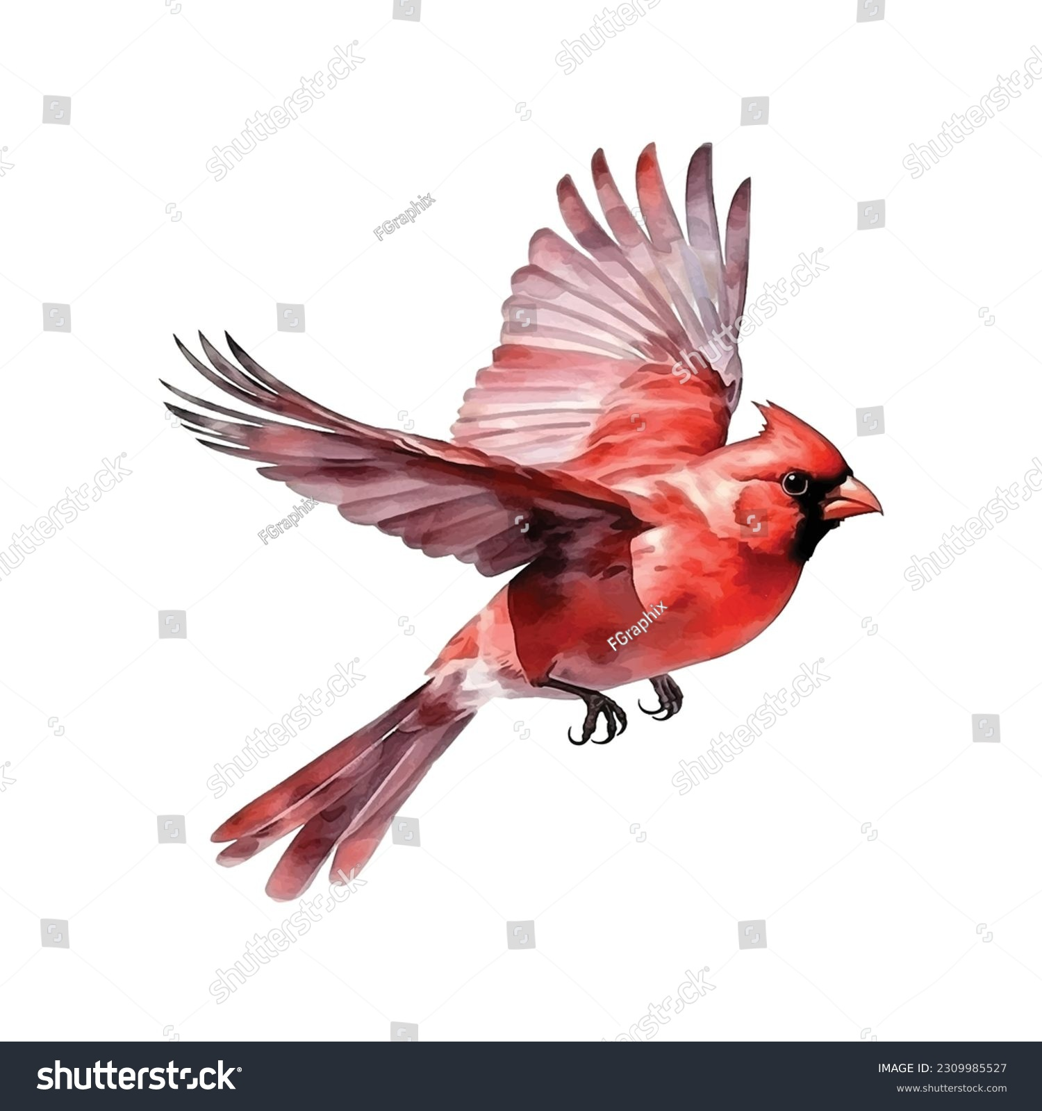 41,079 Cardinal Bird Royalty-Free Photos And Stock Images inside Free Printable Pictures Of Cardinals