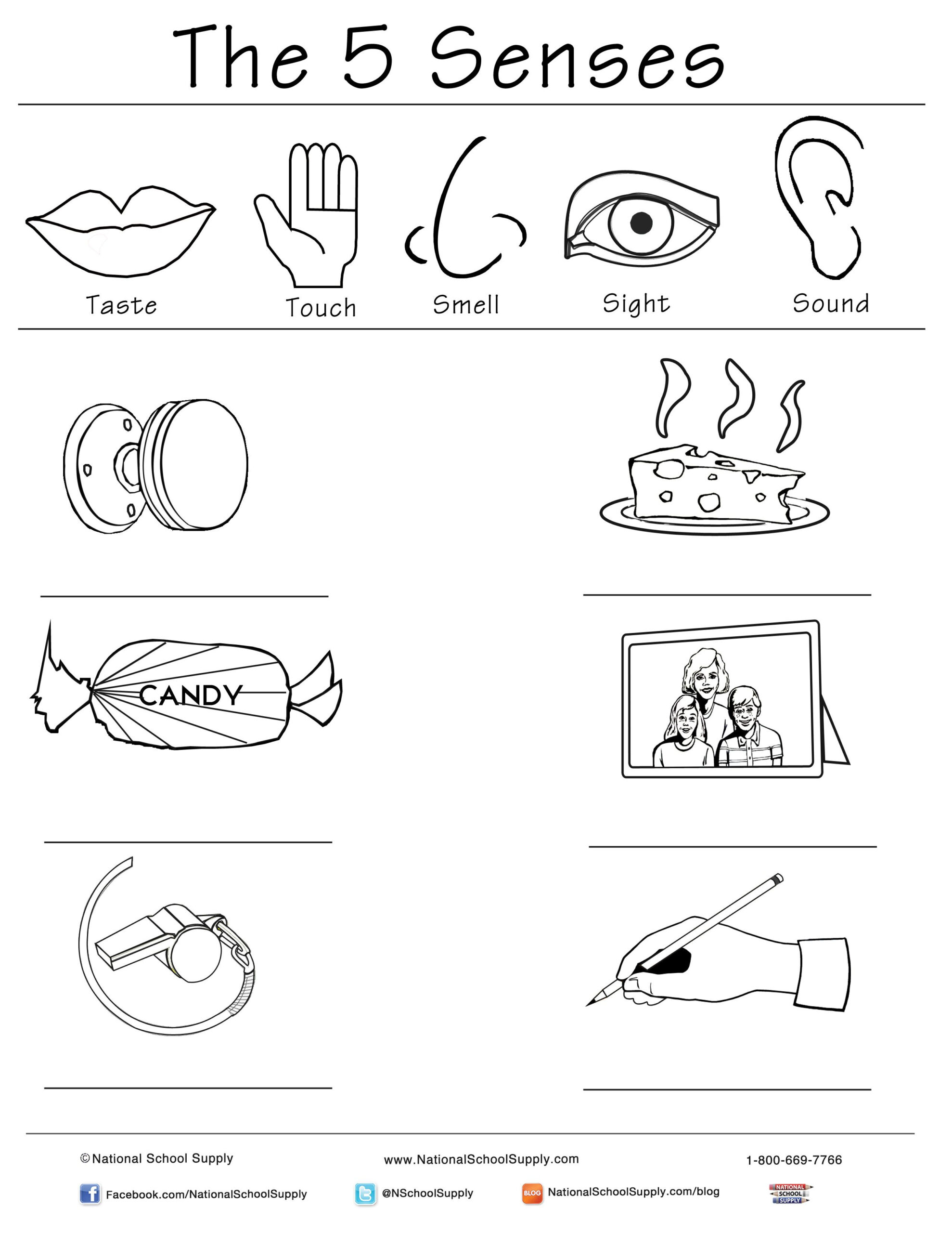 5 Senses Printable For Kindergarten Classrooms throughout Free Printable Worksheets Kindergarten Five Senses