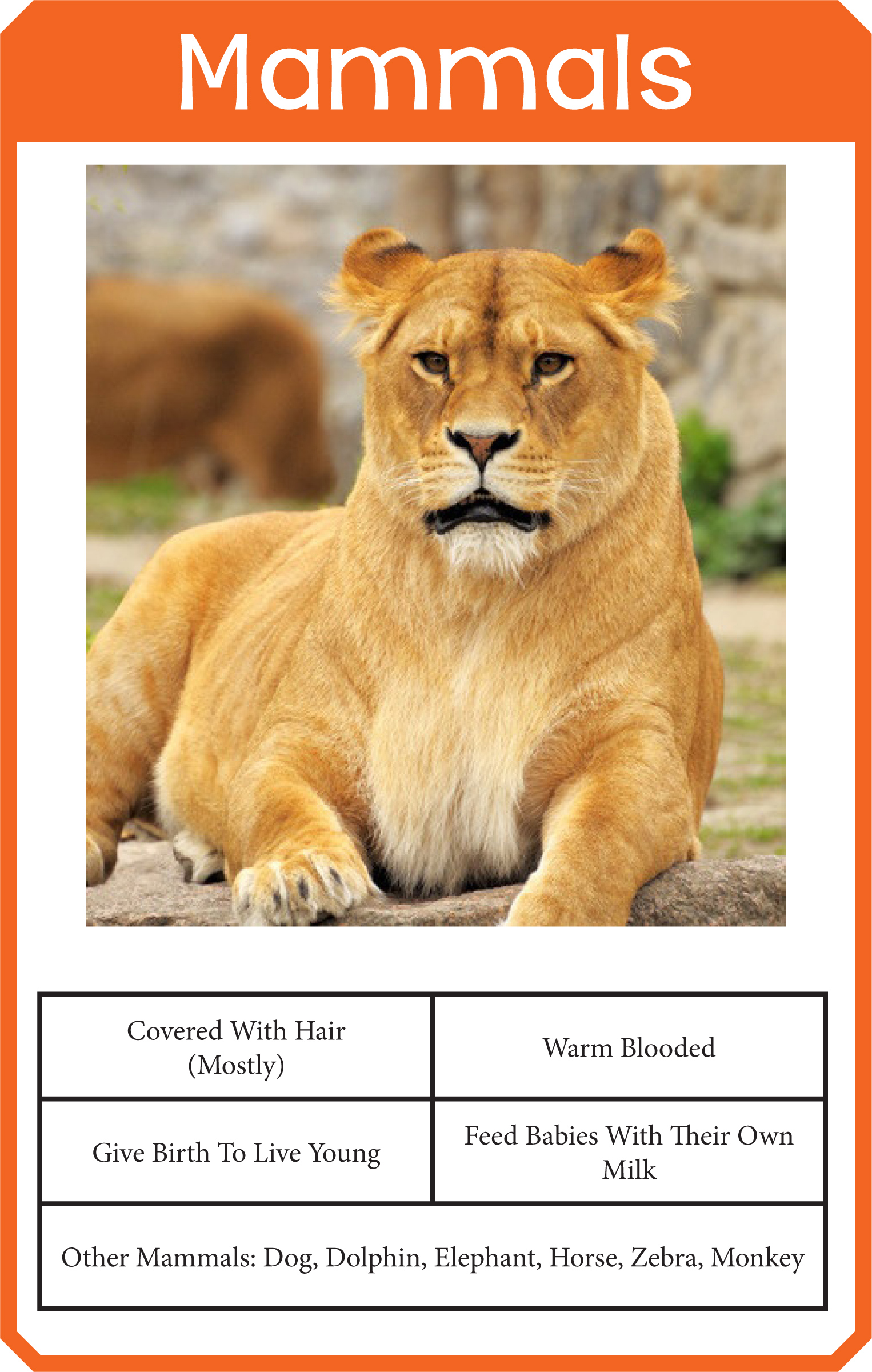 Animal Classification Cards - One Beautiful Home throughout Free Printable Animal Classification Cards