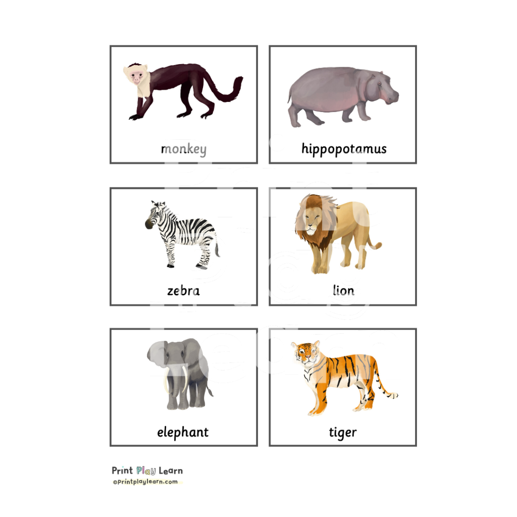 Animals - Page 1 - Free Teaching Resources - Print Play Learn in Free Printable Animal Classification Cards