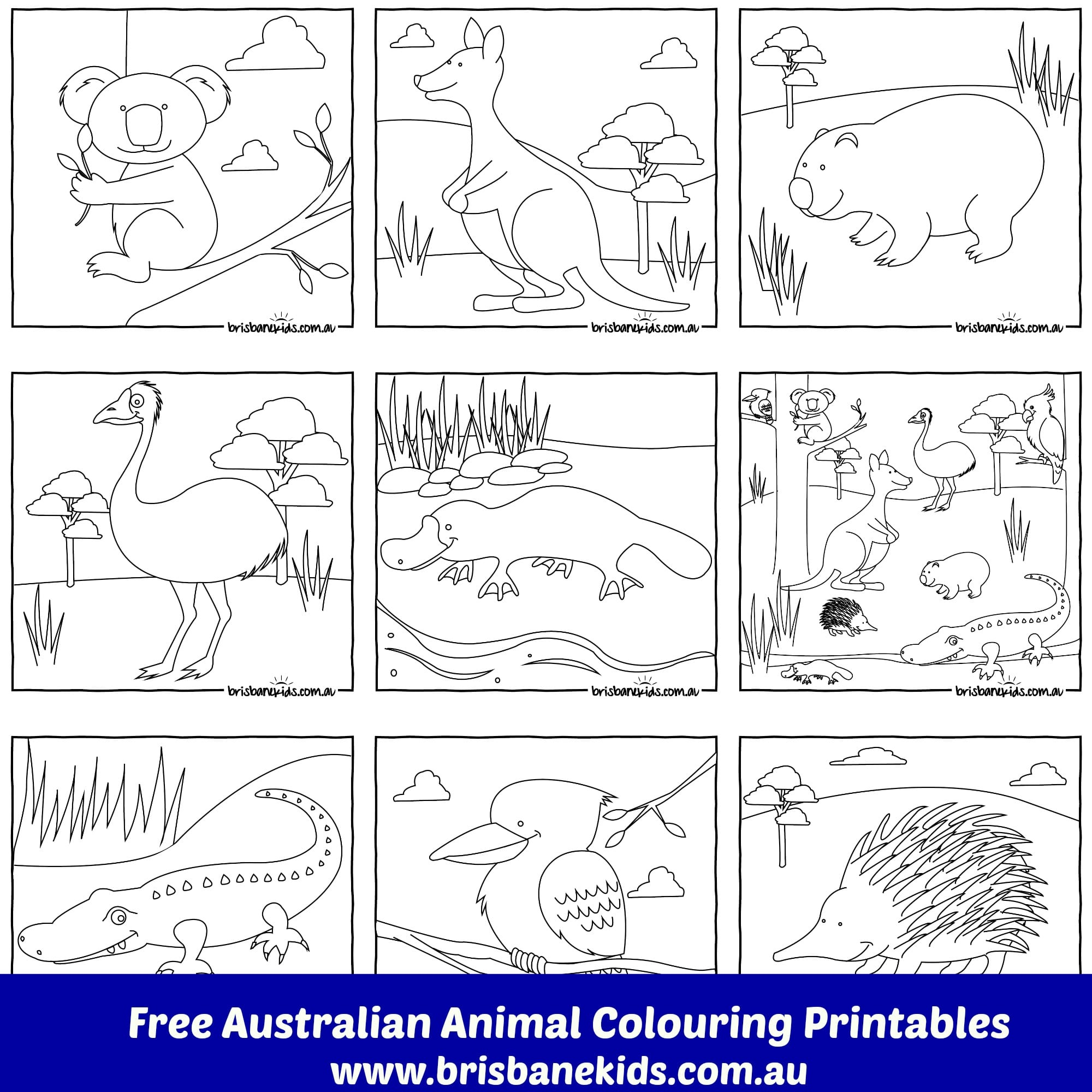 Australian Animals Colouring Pages - Brisbane Kids in Free Printable Pictures Of Australian Animals