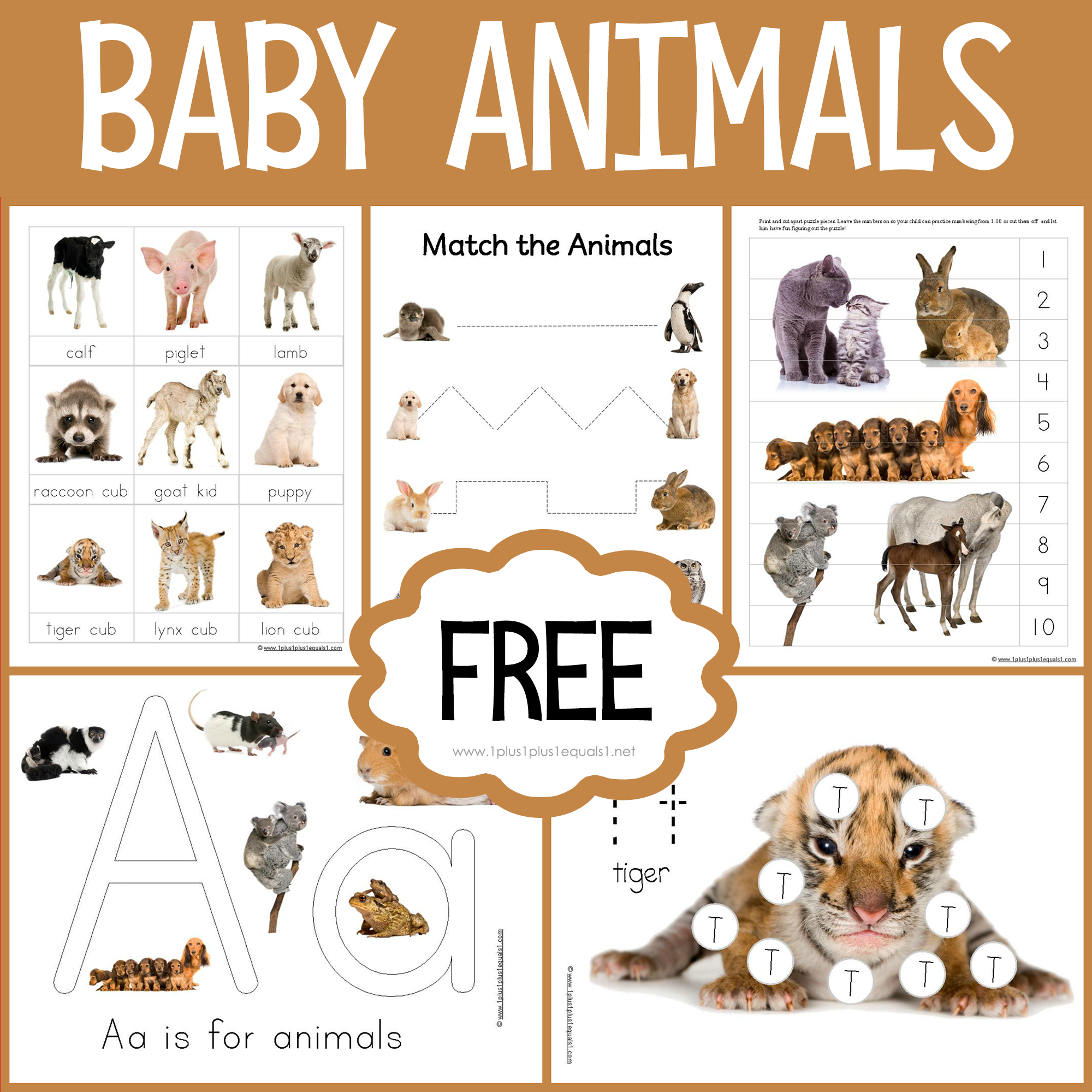 Baby Animals Printables | Baby Animal Printables, Animal with Free Printable Pictures of Baby Animals