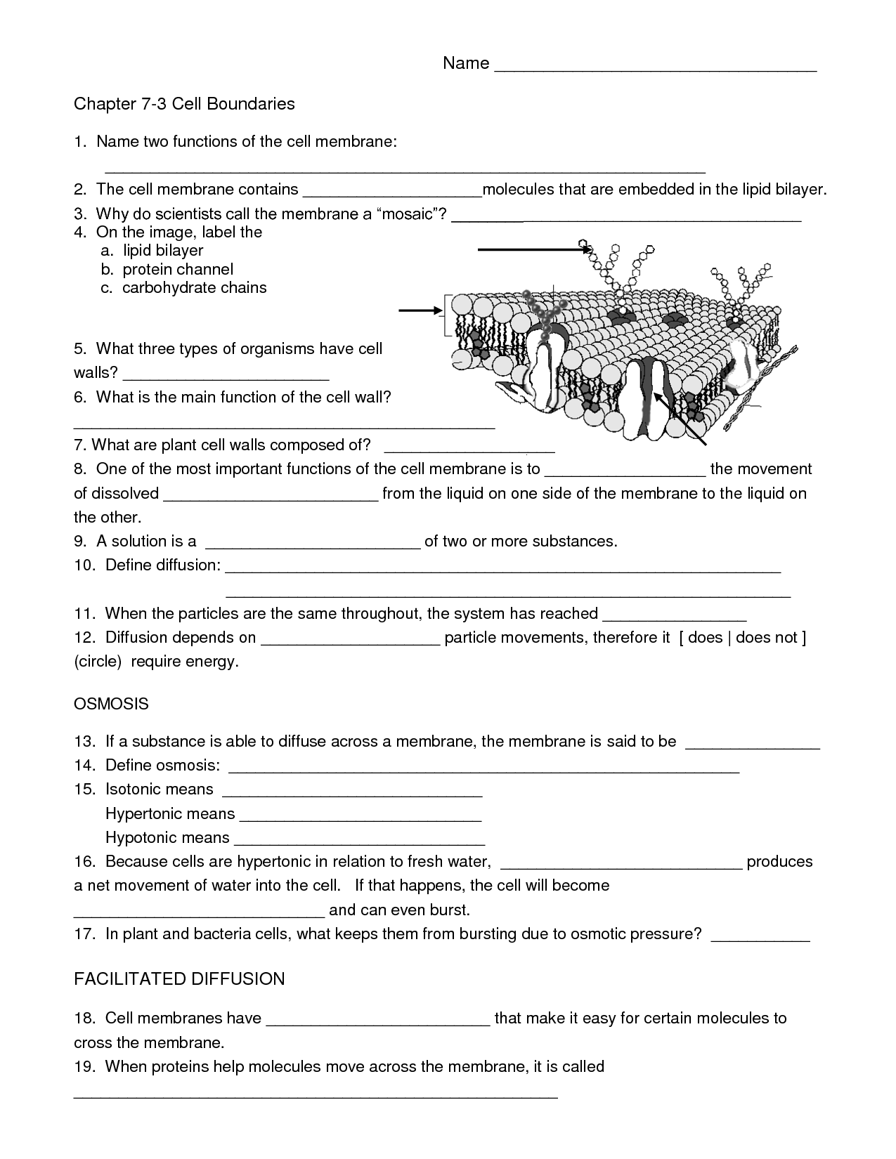 Biology Cell Worksheets | Biology Worksheet, Cell Biology, Cells pertaining to Free Printable Biology Worksheets For High School