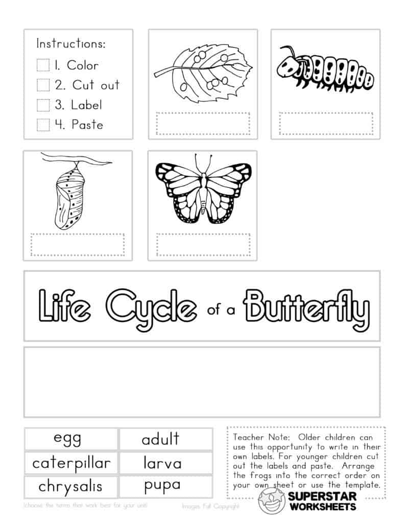 Butterfly Worksheets - Superstar Worksheets within Free Printable Butterfly Worksheets