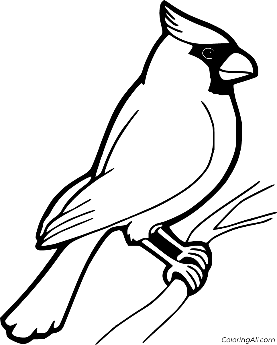 Cardinal Coloring Pages (29 Free Printables) - Coloringall inside Free Printable Pictures of Cardinals