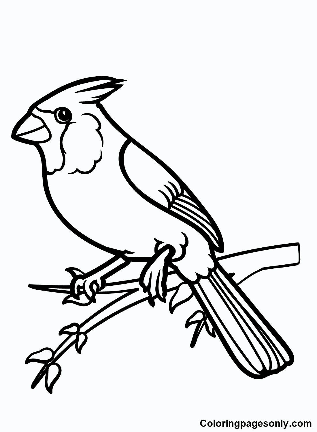 Cardinal Coloring Pages Printable For Free Download intended for Free Printable Pictures Of Cardinals