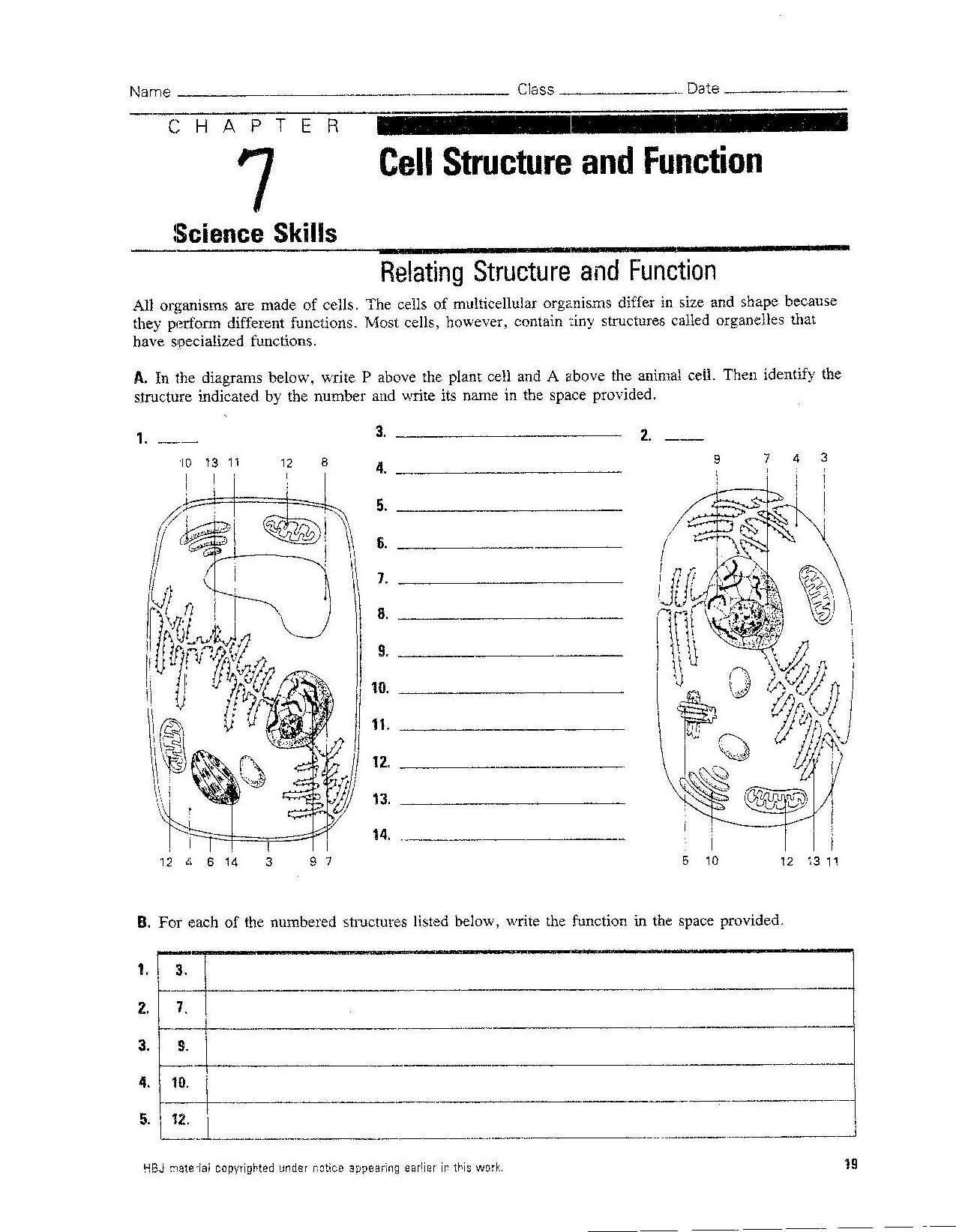 Cell Structure And Function Worksheet for Free Printable Cell Worksheets