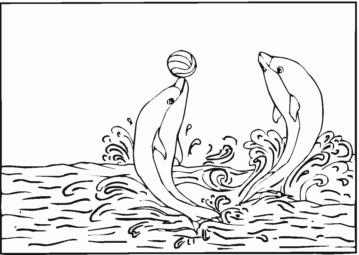 Coloring Pics | Animal Coloring Pages, Coloring Pages, Dolphin throughout Dolphin Coloring Sheets Free Printable