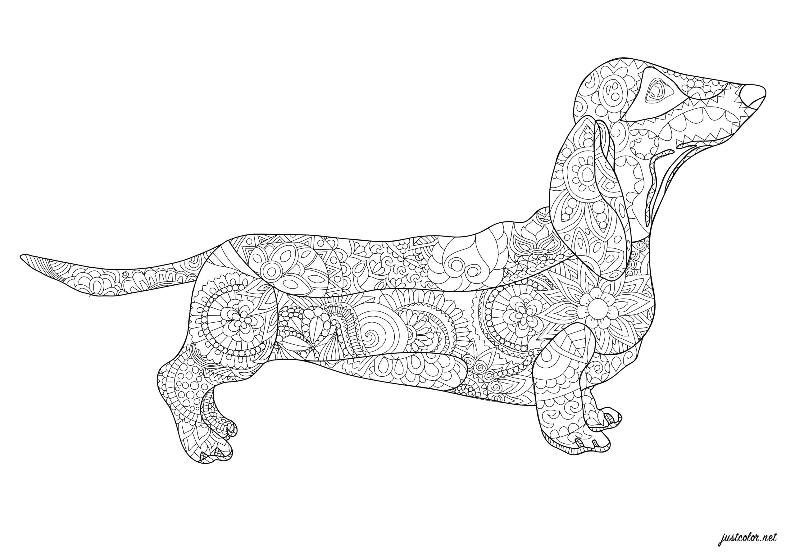 Dachshund - Dogs Adult Coloring Pages with regard to Free Printable Dachshund Coloring Pages