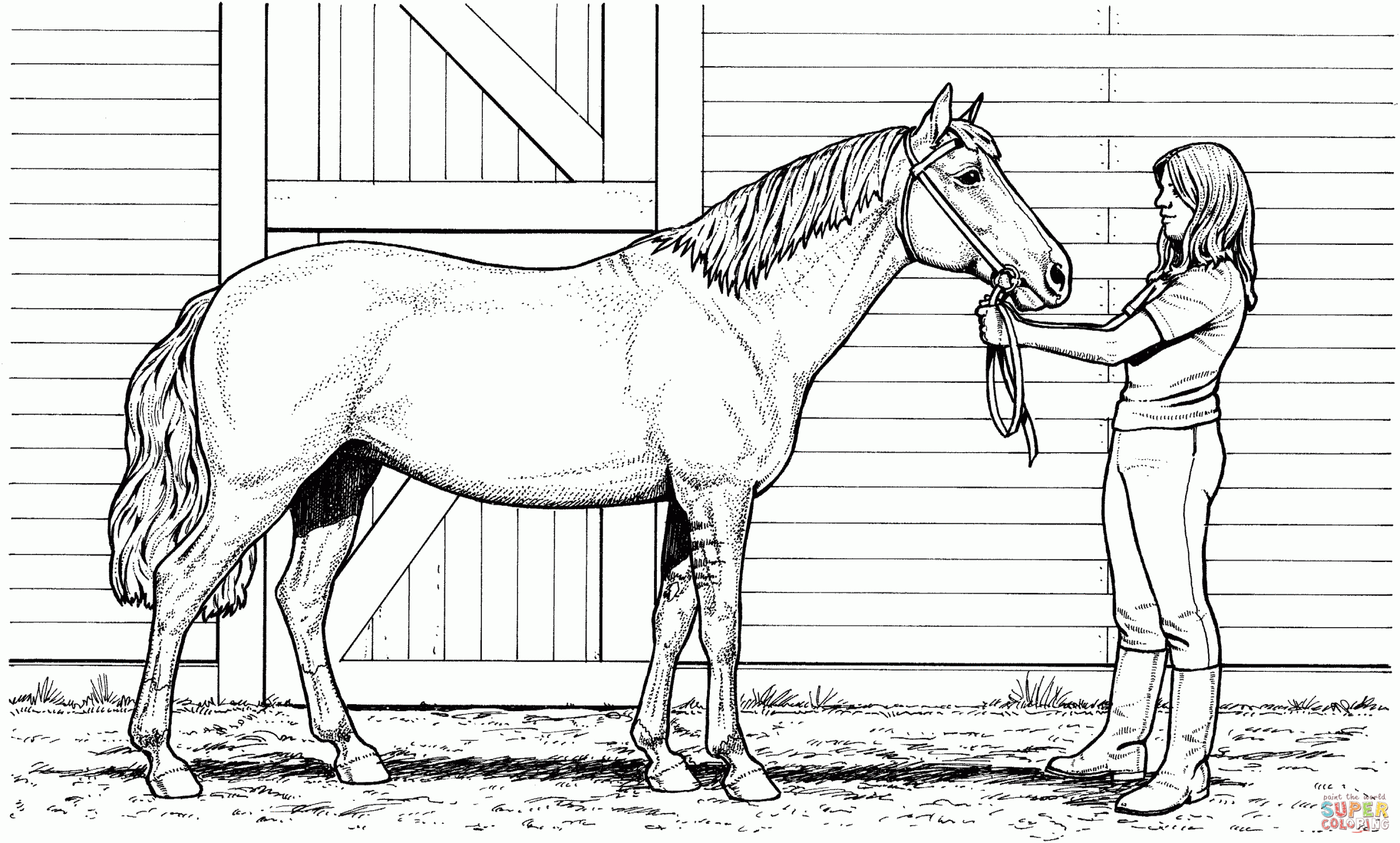 Detailed Horse Coloring Pages | Free Coloring Pages intended for Free Printable Realistic Horse Coloring Pages