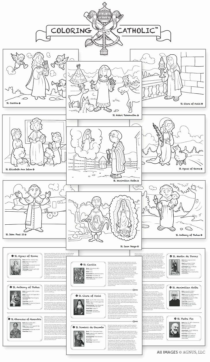 Discover The Joy Of Catholic Mass With Interactive Worksheets For Kids for Free Printable Catholic Mass Book