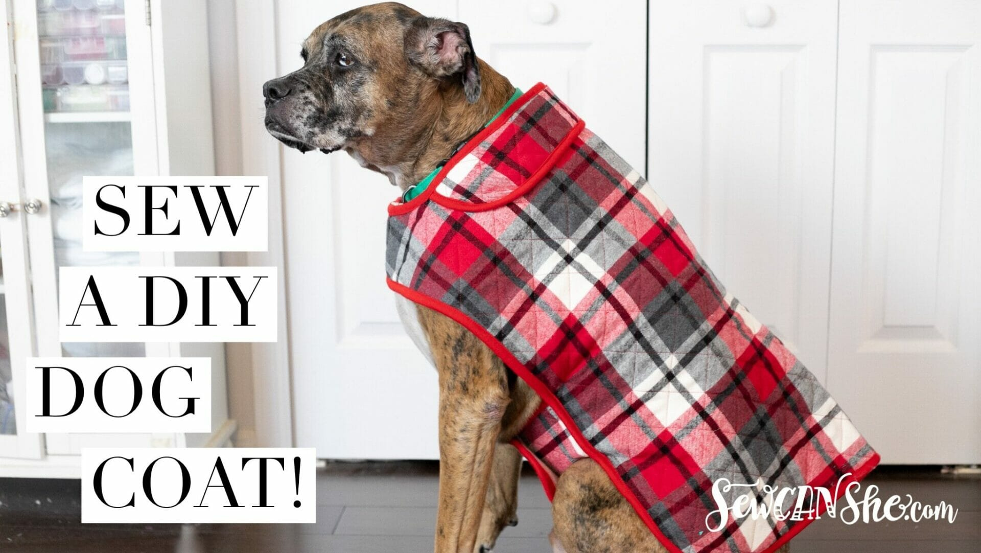 Diy Fur Baby Coat - How To Sew A Dog Coat within Dog Coat Sewing Patterns Free Printable