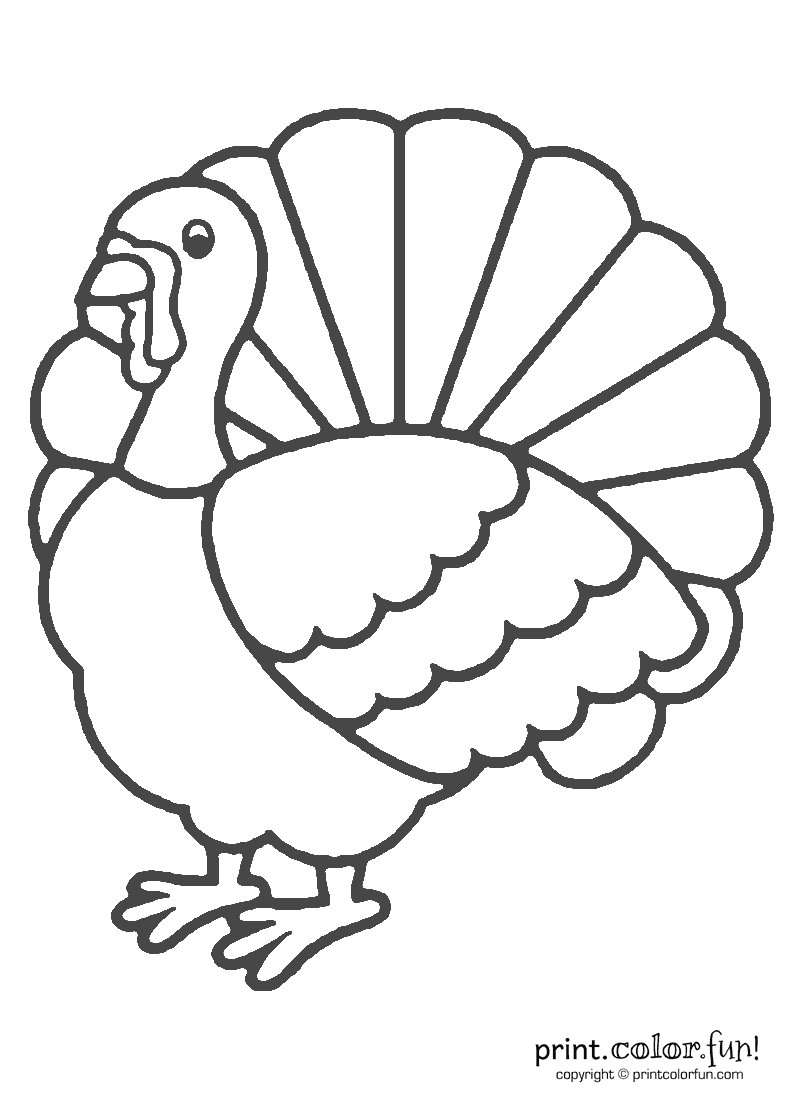 Download And Print Your Page Here! | Thanksgiving Coloring Pages within Free Printable Pictures Of Turkeys To Color