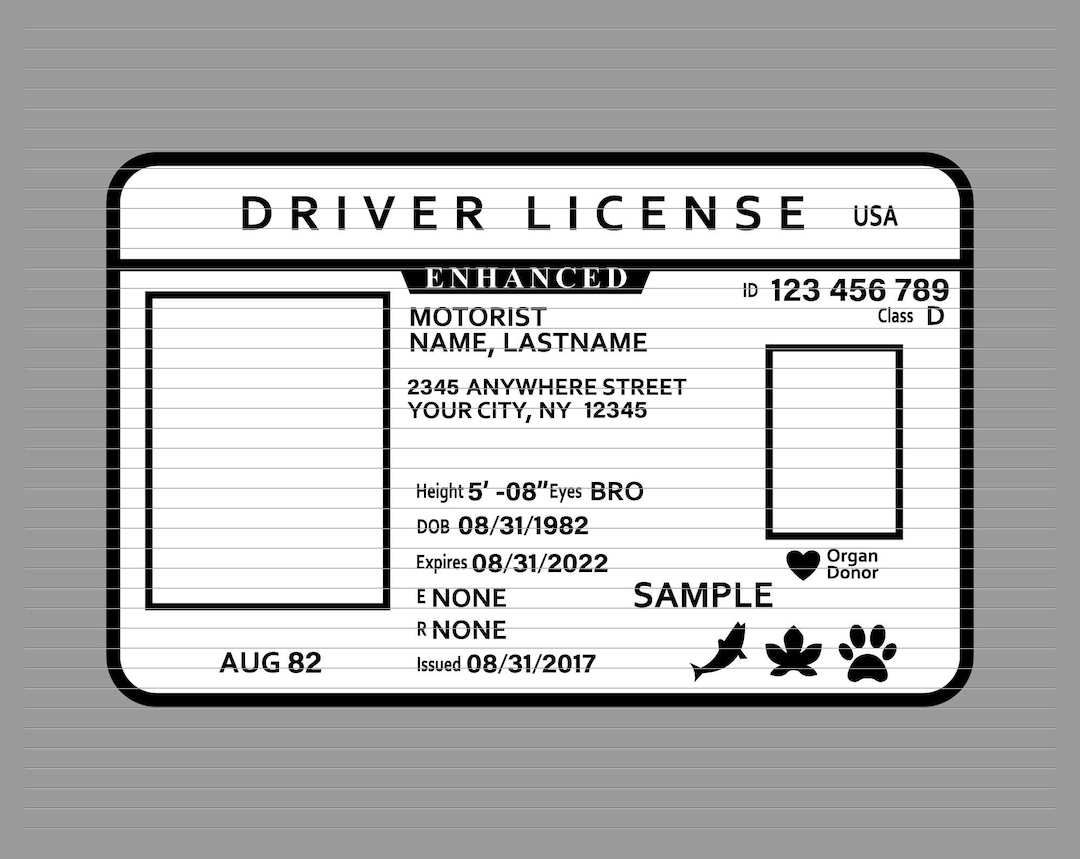 Driver Licence Svg, Driver License, Id Svg, Id Card intended for Free Printable Fake Drivers License