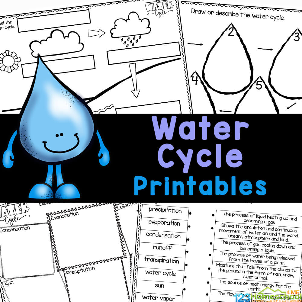 💧 Free Printable Water Cycle Worksheets For Kids regarding Free Printable Science Worksheets For Grade 2