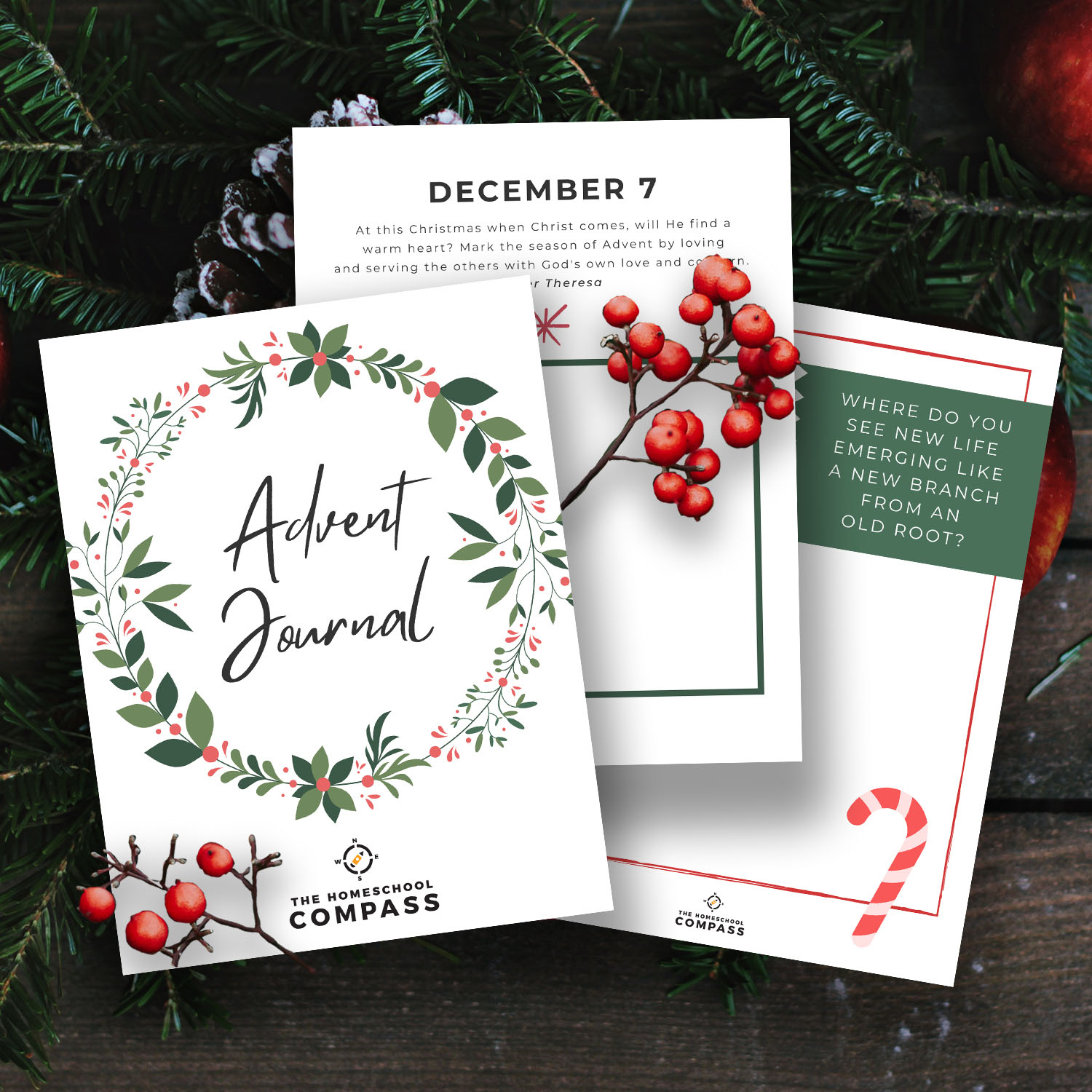 Free Advent Devotional Journal - Homeschool Compass for Free Printable Advent Devotions