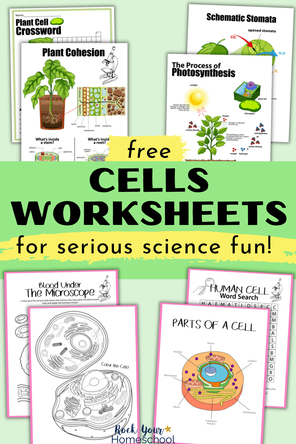 Free Cells Worksheets For Super Fun Science Activities For Kids within Free Printable Cell Worksheets