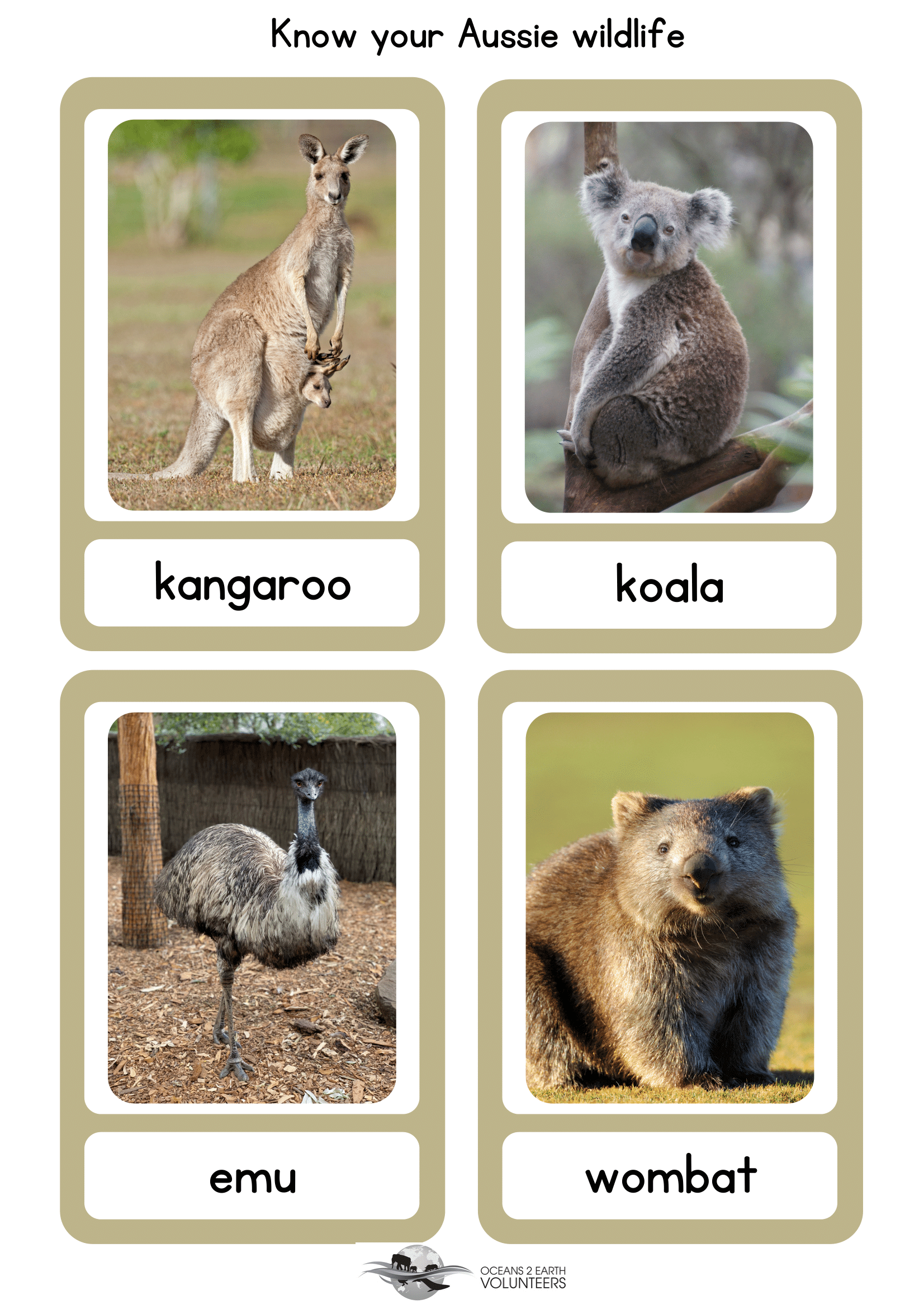 Free Downloads | Oceans 2 Earth Volunteers with Free Printable Pictures Of Australian Animals