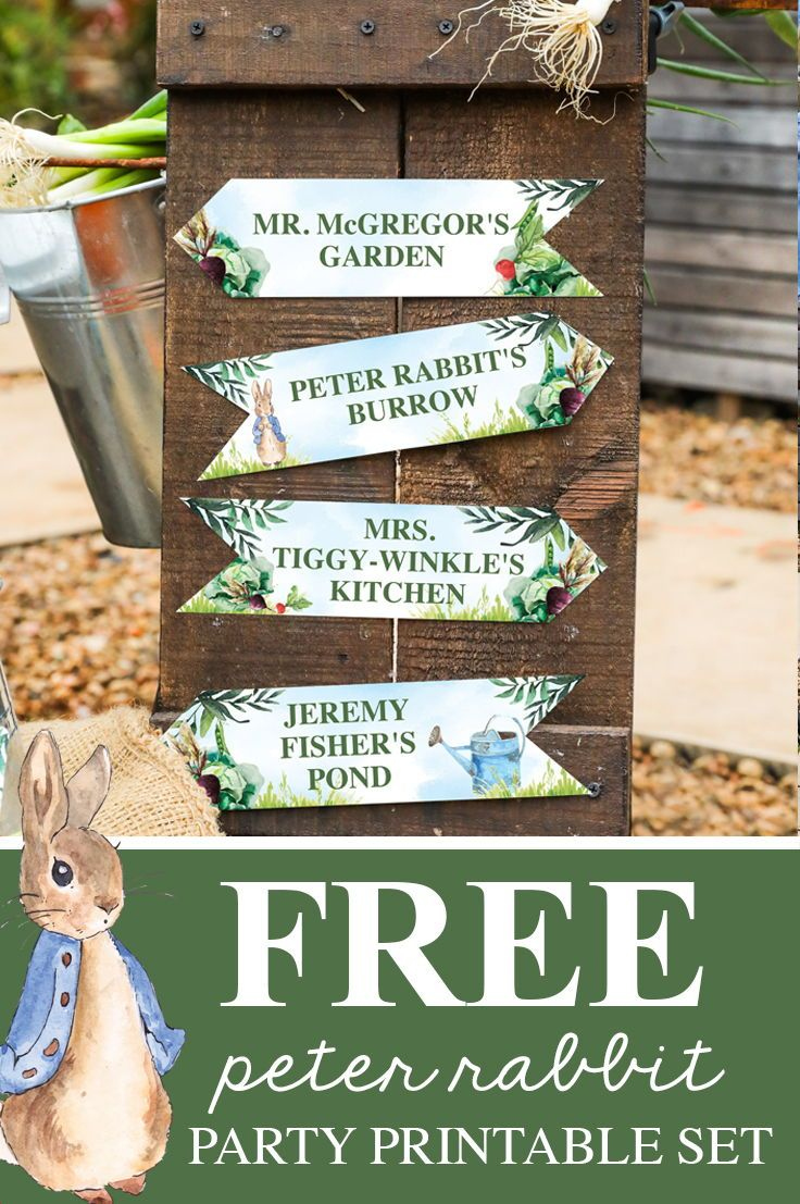 Free Peter Rabbit Party Invitation And Peter Rabbit Party Decor intended for Free Peter Rabbit Party Printables