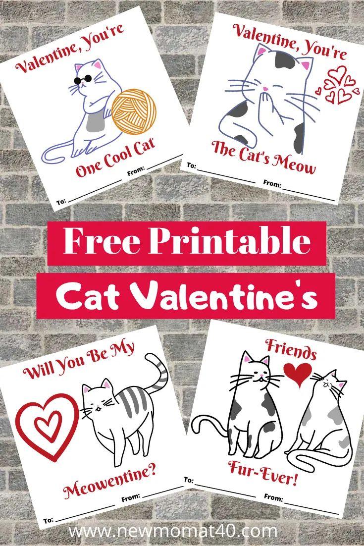 Free Printable Cat Valentine&amp;#039;S Day Cards - New Mom At 40 | Cat in Free Printable Cat Valentine Cards