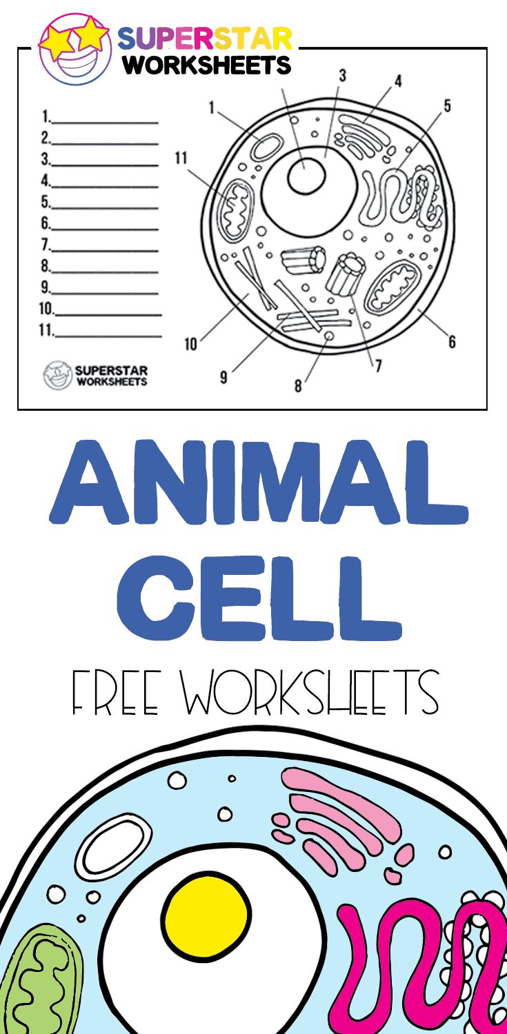 Free Printable Cell Worksheets For Coloring Pages, Label The Cell inside Free Printable Cell Worksheets