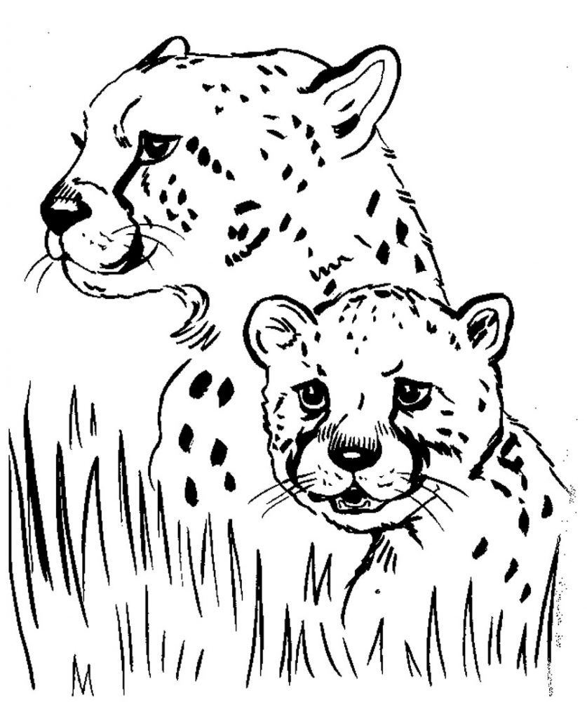 Free Printable Cheetah Coloring Pages For Kids | Animal Coloring inside Free Printable Cheetah Pictures