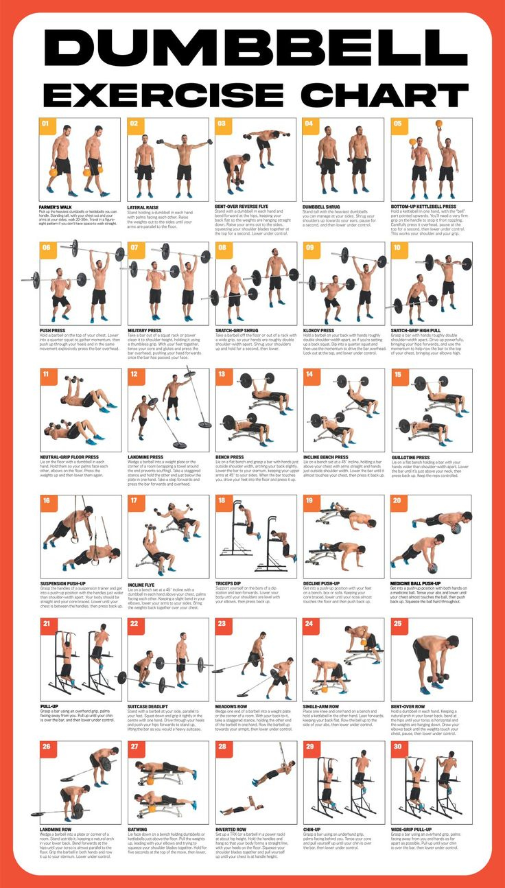 Free Printable Dumbbell Workout Poster with Free Printable Gym Workout Routines