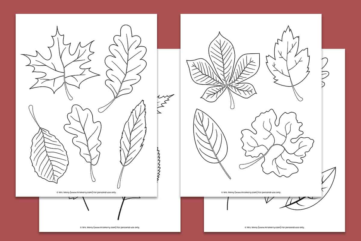 Free Printable Fall Leaves Coloring Pages | Mrs. Merry with regard to Free Printable Fall Leaves Coloring Pages