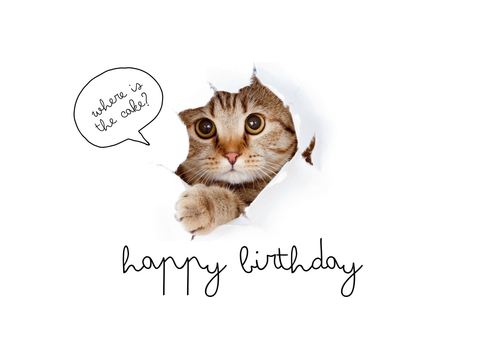 Free Printable Funny Birthday Card Templates | Canva intended for Free Printable Funny Birthday Cards