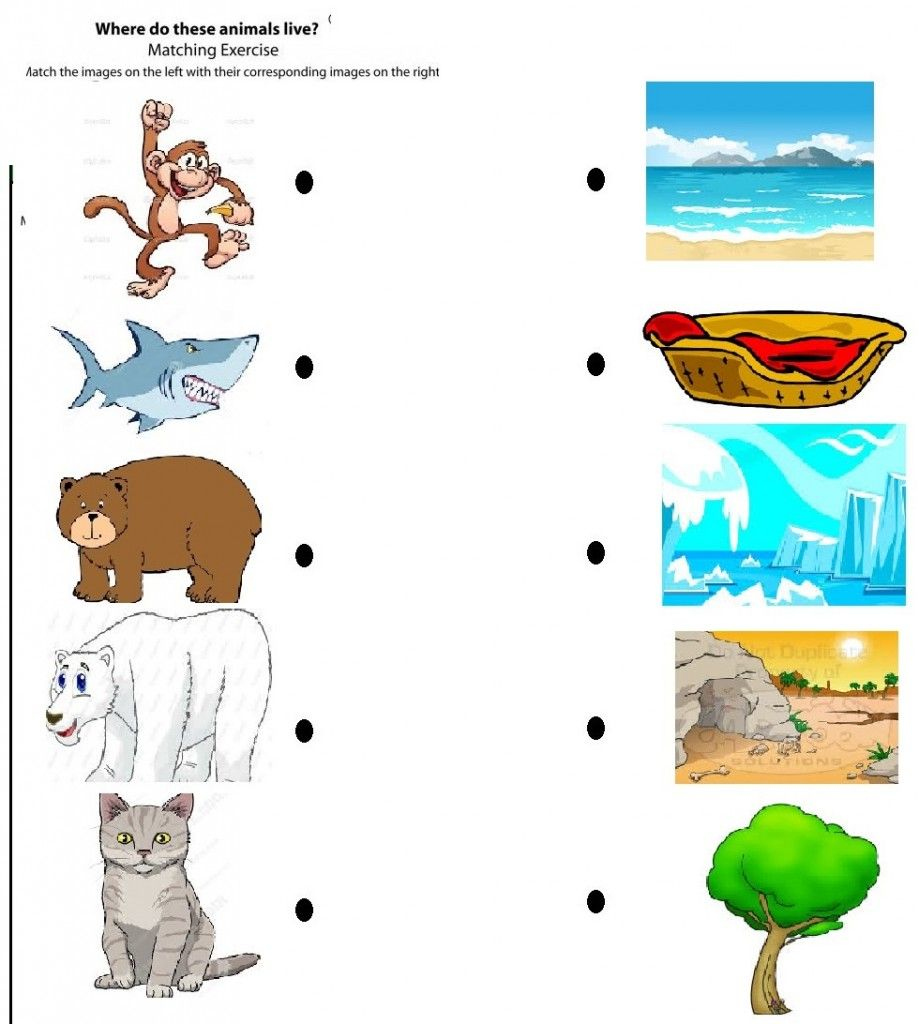 Free Printable Matching Animals To Their Home Worksheet (1 within Free Printable Worksheets Animal Habitats